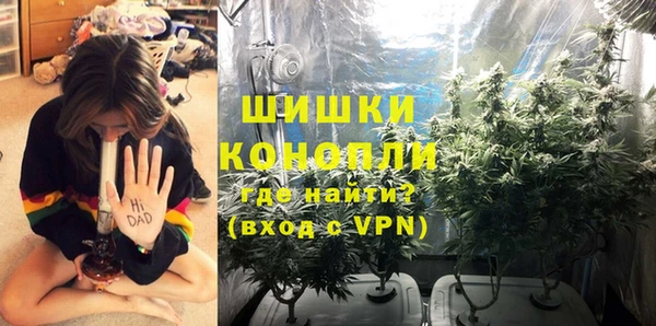 дживик Гусев