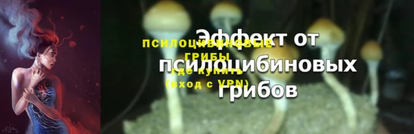 дживик Гусев