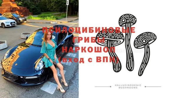 а пвп мука Гусиноозёрск